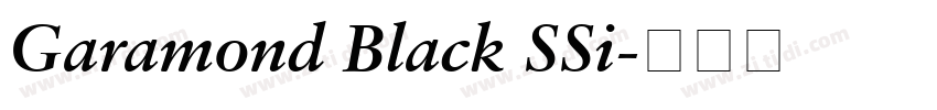 Garamond Black SSi字体转换